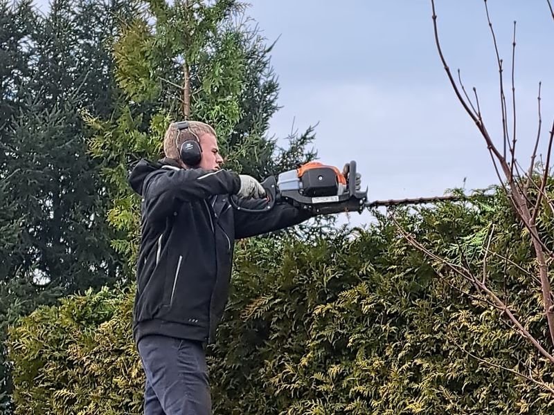 Sauber und blickdicht geschnittene Hecke nach professionellem Formschnitt