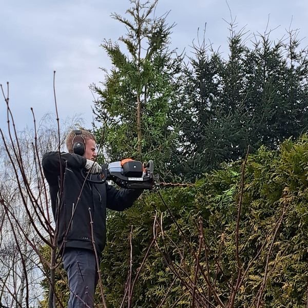 Exakter Kantenschnitt an einer Hecke mit Benzin-Heckenschere