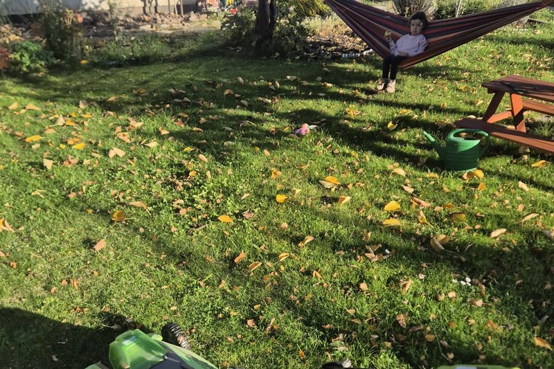 Rasenmähen und Laubbeseitigung im Herbst auf Rasenflächen in Wismar