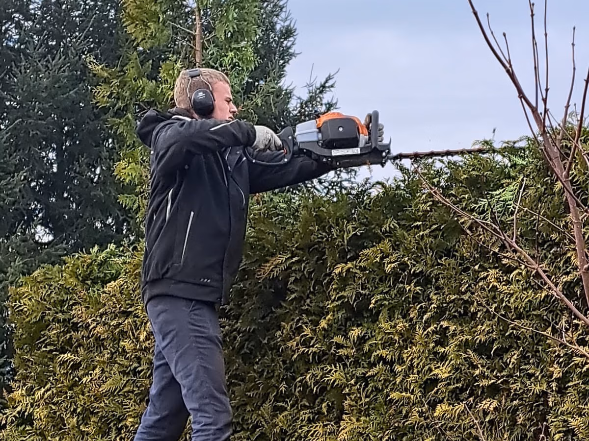 Marius Steinert steht auf einer Arbeitsplattform und schneidet mit Gehörschutz und Schutzhandschuhen eine hohe Hecke mit einer motorbetriebenen Heckenschere.